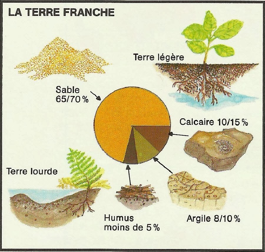 LES CLIMATS ET LES SOLS - LES SOLS - Comment ça marche